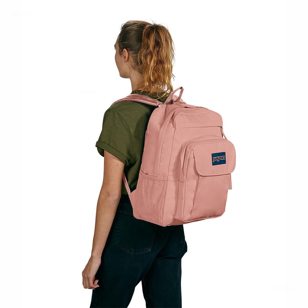 Sac à Dos Ordinateur JanSport UNION PACK Rose | SFH-39371522